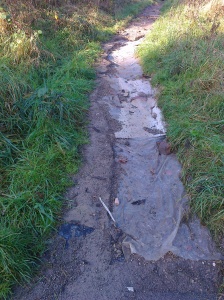 Bypass Path - Stone washed away completely on slope just above Safe Route to School